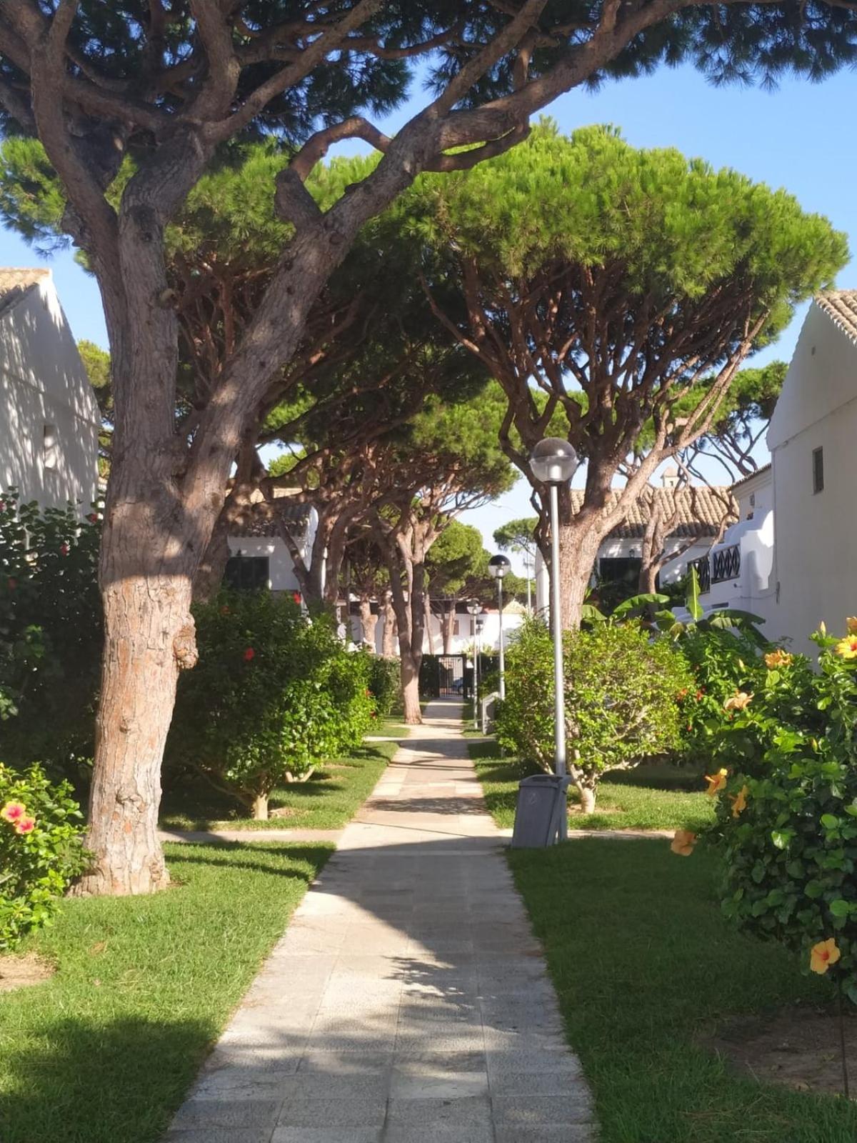 Villa La Barrosa Duplex à Chiclana de la Frontera Extérieur photo